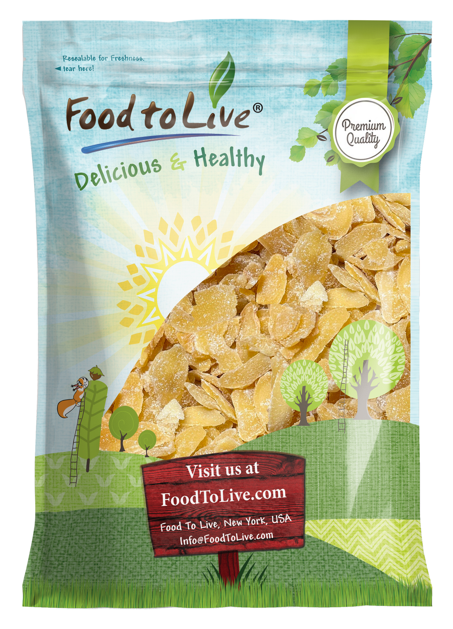 Dried Crystalized Ginger Slices – Vegan, Kosher, Bulk – by Food to Live