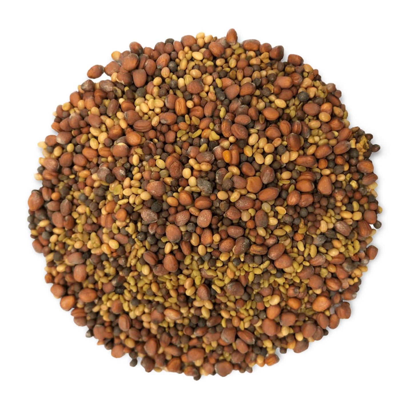 Salad Mix of Sprouting Seeds - by Food To Live