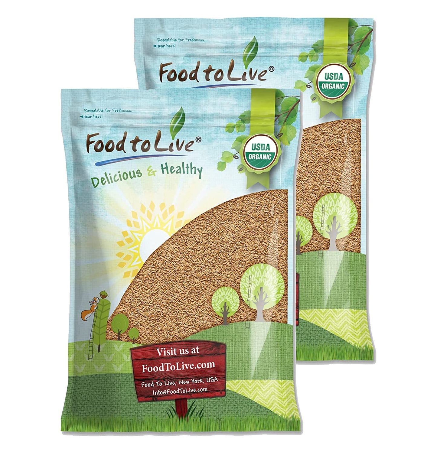Organic Oat Groats — 100% Whole Grain, Non-GMO Seeds, Kosher, Raw, Non-Irradiated, Vegan, Bulk, Low Glycemic - by Food to Live
