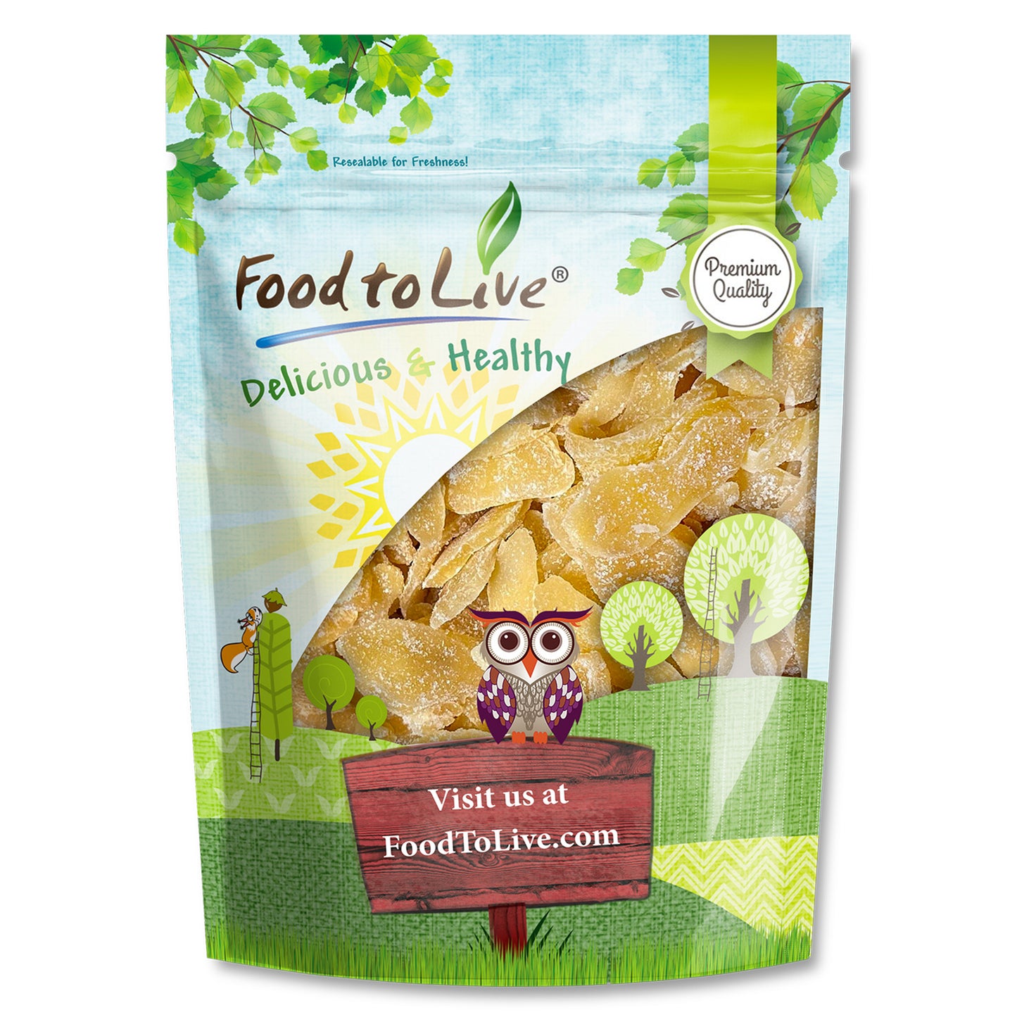 Dried Crystalized Ginger Slices – Vegan, Kosher, Bulk – by Food to Live