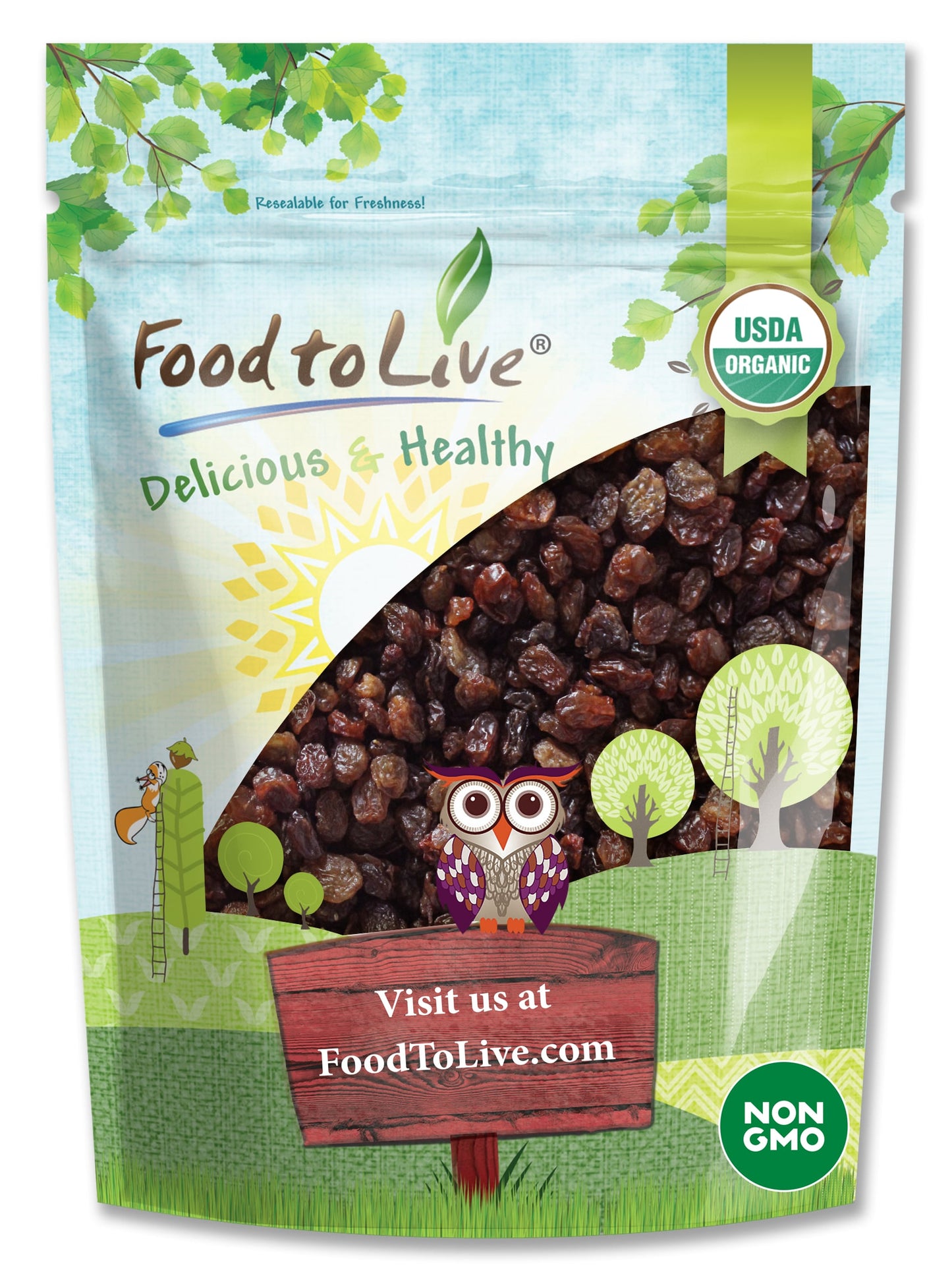 Imported Organic Raisins - by Food To Live