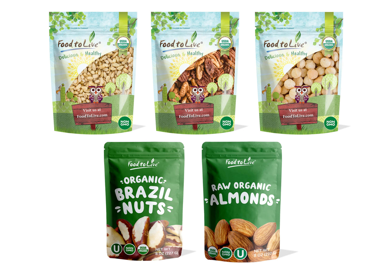 Organic Nutritious Nuts in a Gift Box - by Food To Live