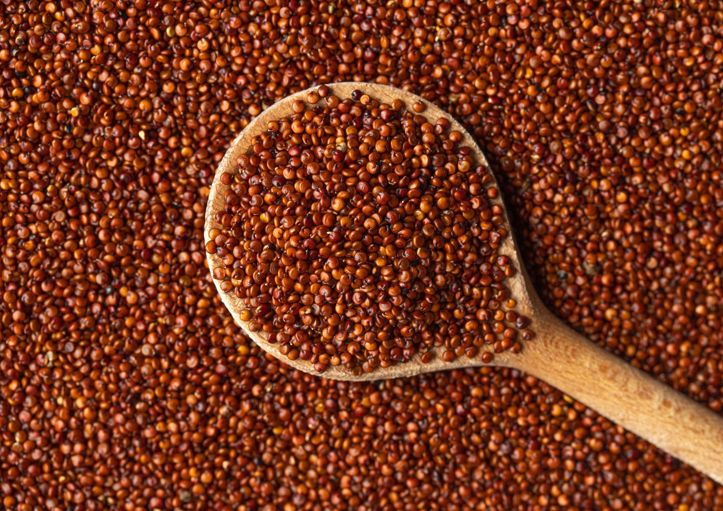 Red Quinoa - by Food To Live