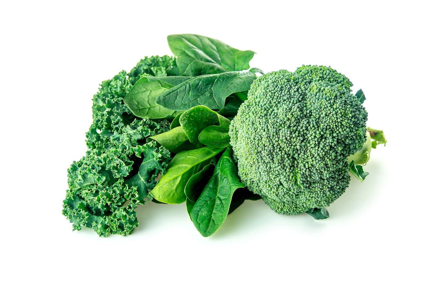 Broccoli and Kale Sprout Powder Mix - by Food To Live