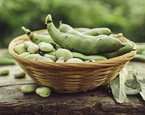 Organic Fava Beans - by Food To Live
