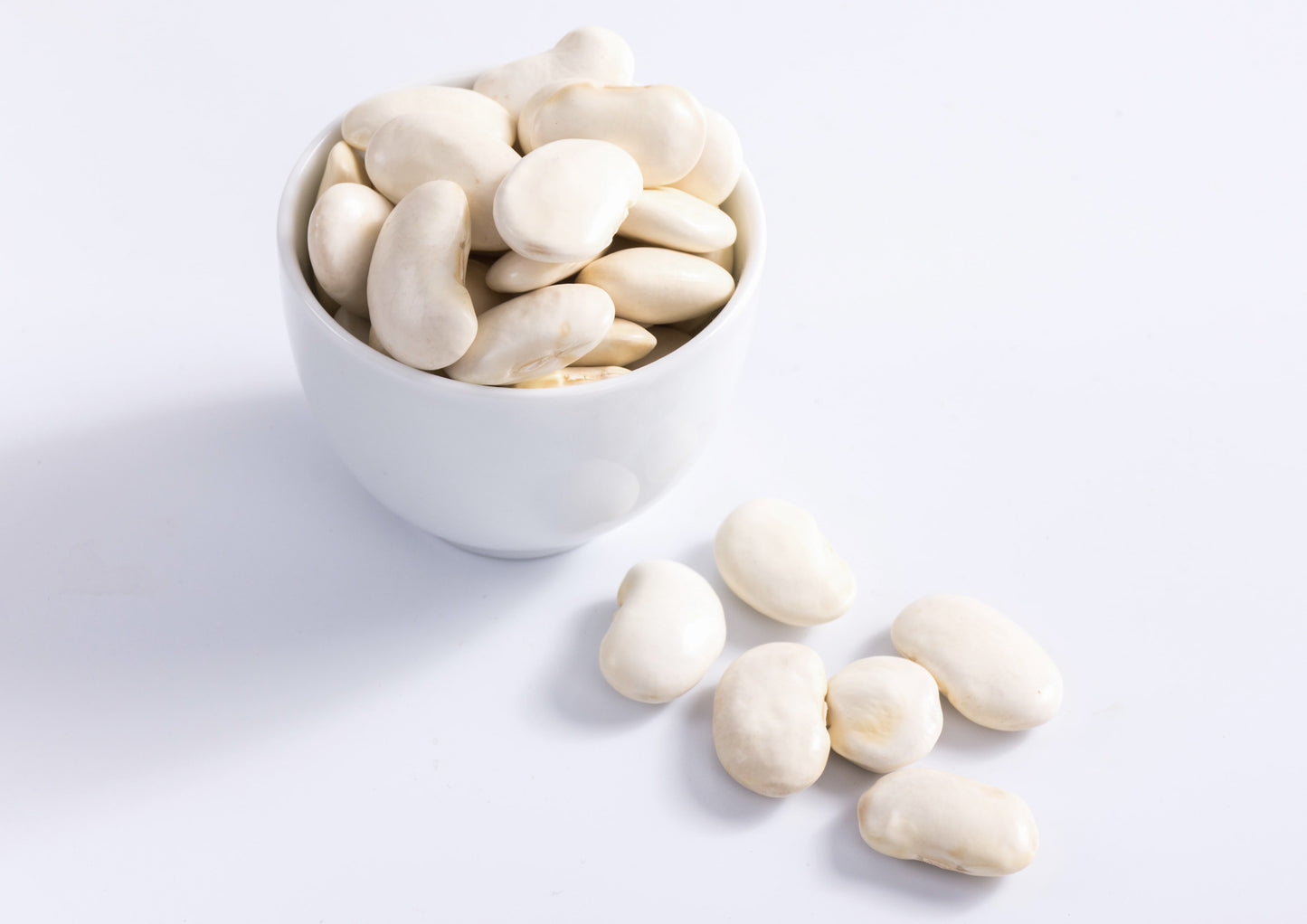 Organic White Kidney Beans — Whole Raw Dried Beans, Vegan, Kosher, Bulk. Rich in Dietary Fiber and Protein. Perfect for Soups, Stews, Chili, Paste, Salads and Side Dishes