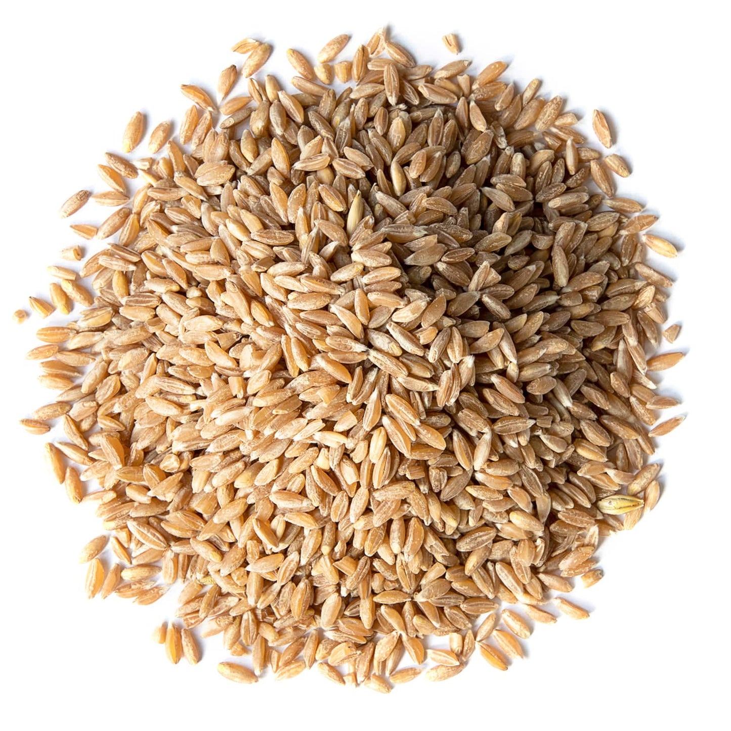 Organic Spelt Berries - by Food To Live