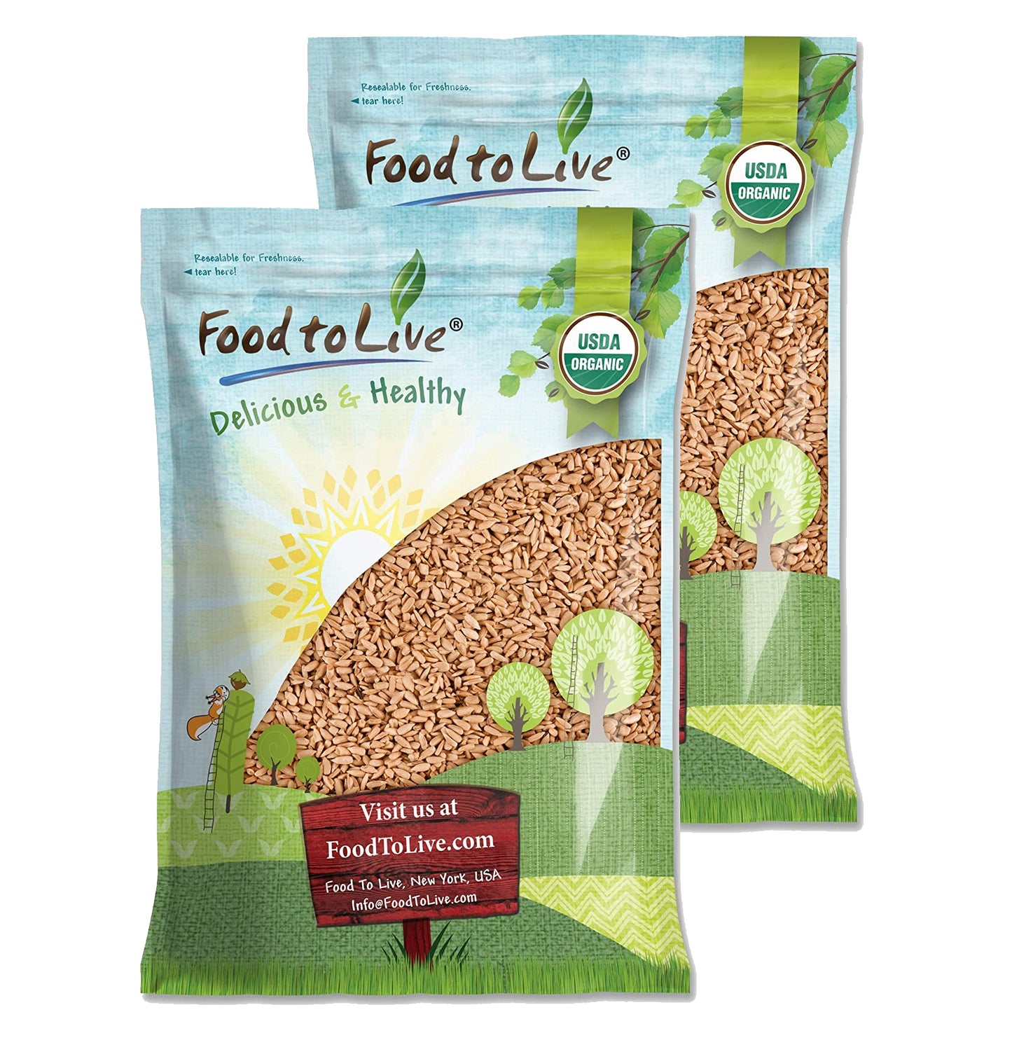 Organic Dry Roasted Sunflower Seeds with Himalayan Salt - by Food To Live