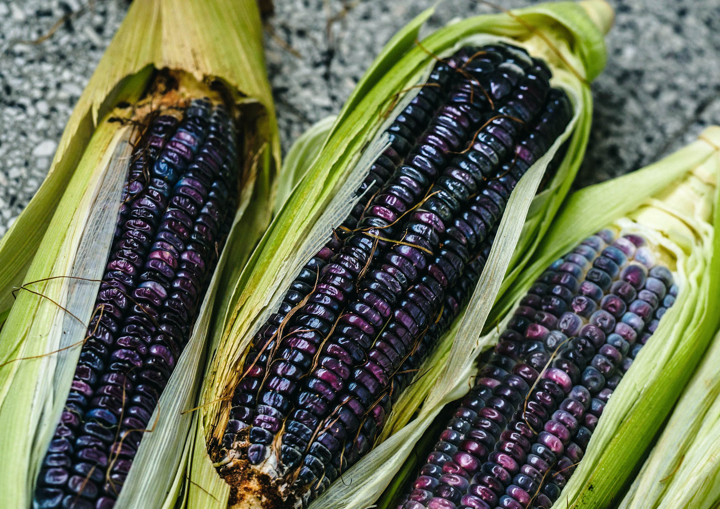 Organic Blue Corn Kernels - by Food To Live