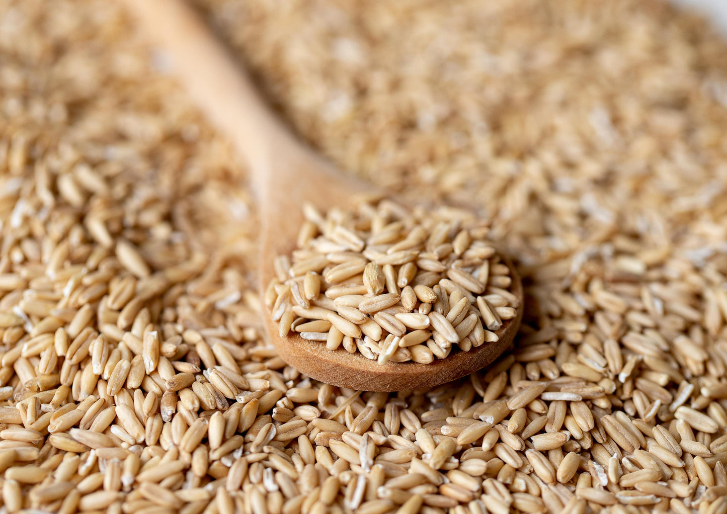 Whole Grain Oat Groats - by Food To Live