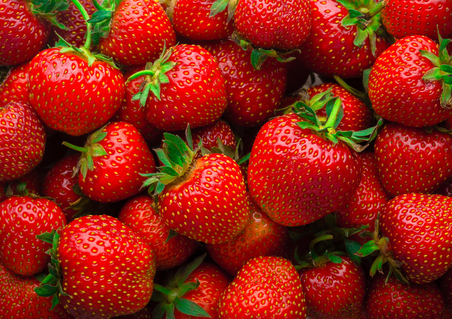 Organic Strawberry Powder - by Food To Live