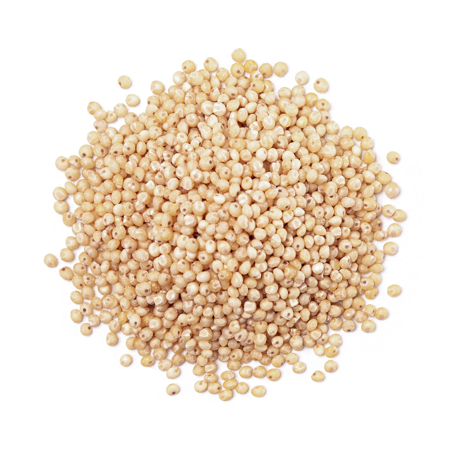 Gluten Free Organic Whole Grain Sorghum - by Food To Live