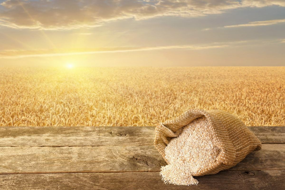Organic Oat Bran - by Food To Live