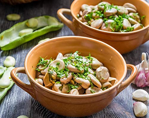 Organic Fava Beans - by Food To Live