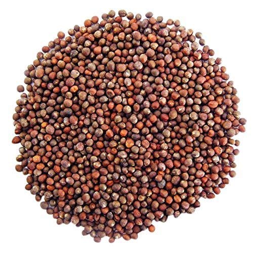Organic Broccoli Seeds for Sprouting - by Food To Live