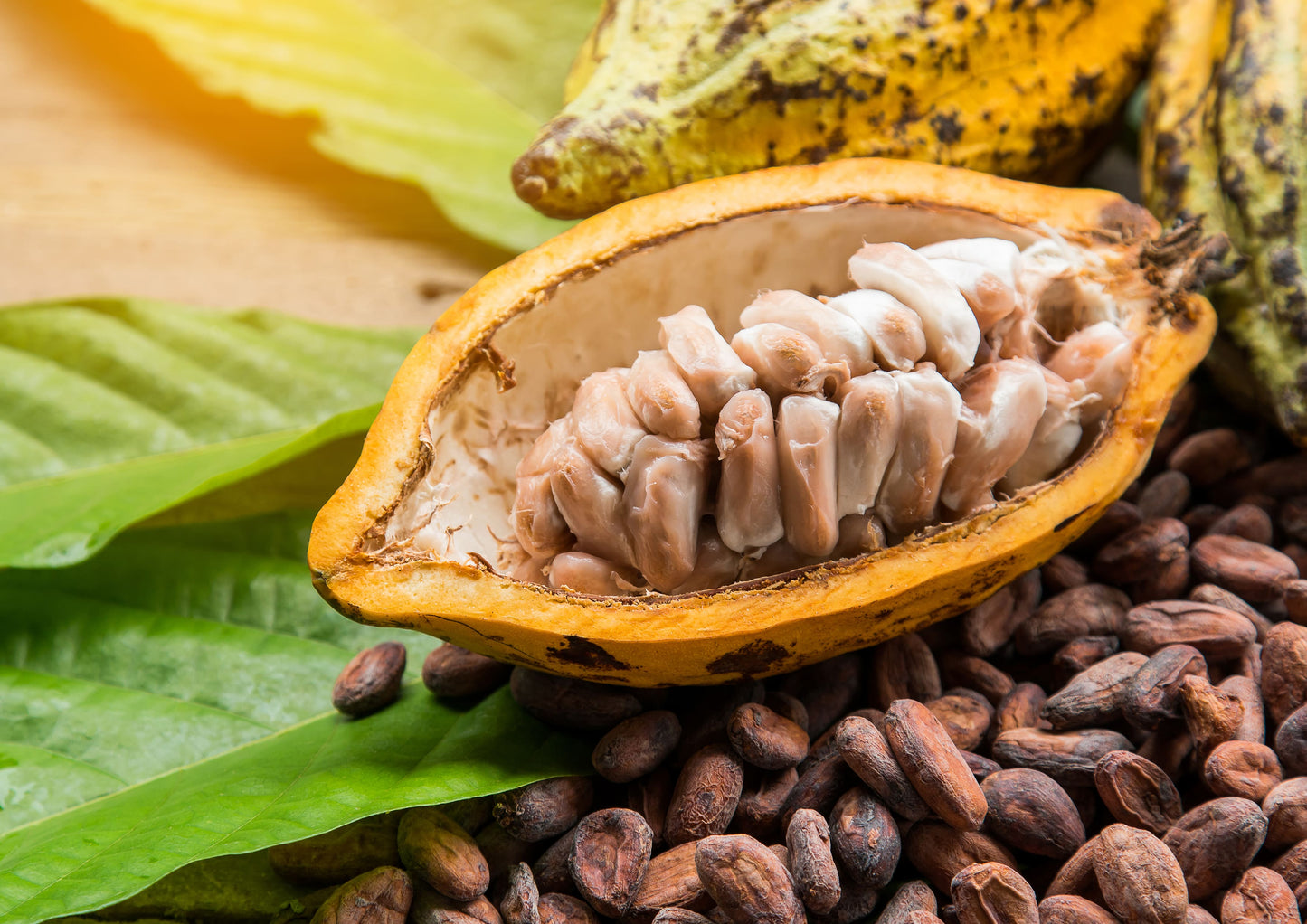 Cacao Paste Wafers - by Food To Live