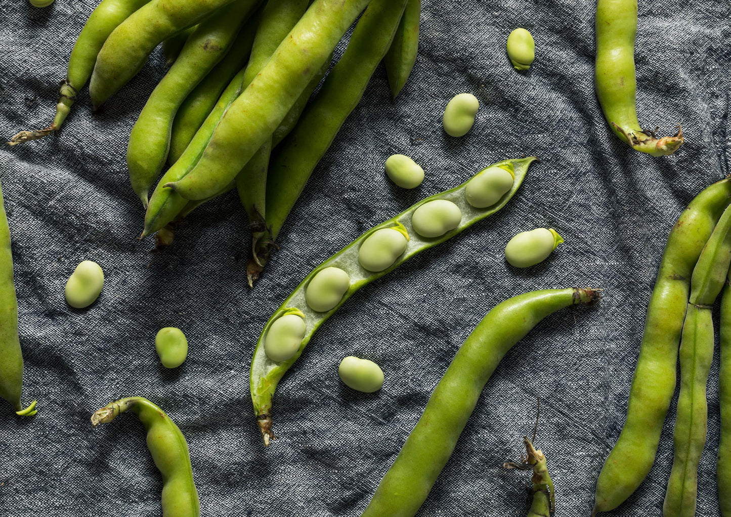 Organic Fava Bean Flour - by Food To Live