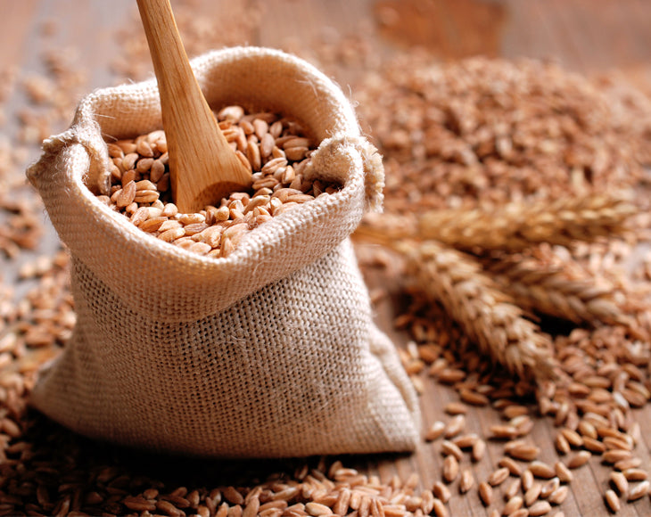 Organic Spelt Berries - by Food To Live