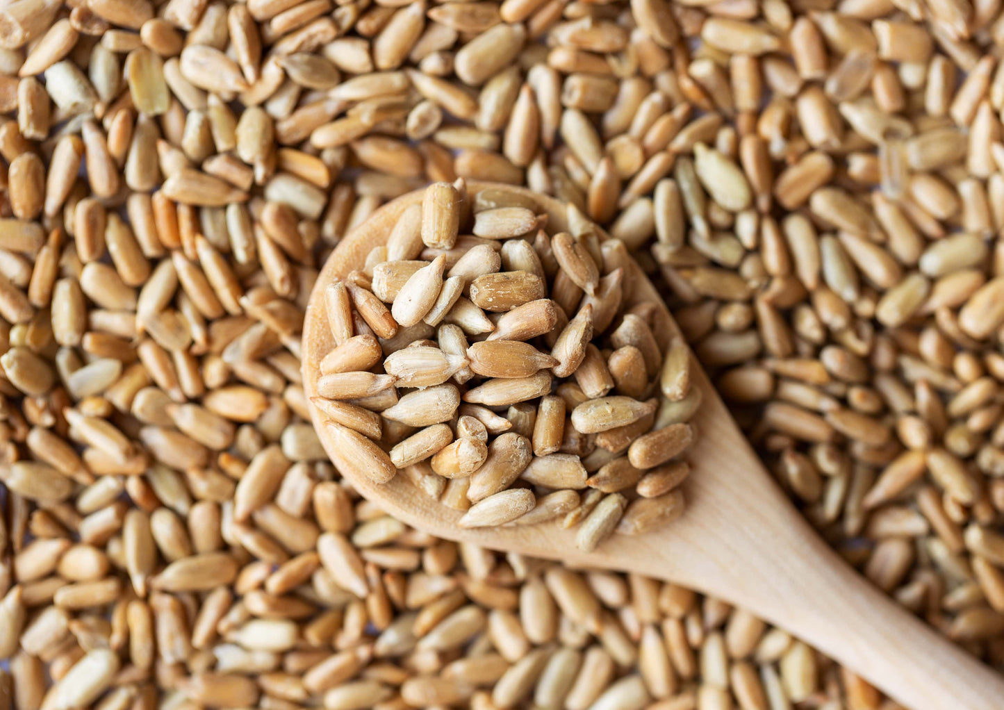 Dry Roasted Sunflower Seed Kernels with Himalayan Salt - by Food To Live