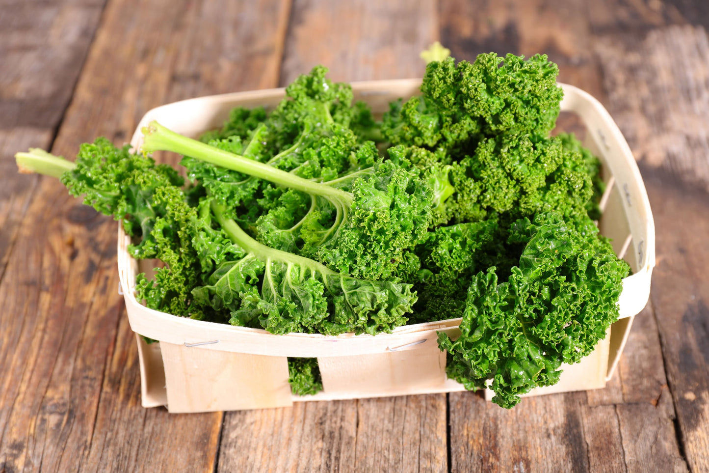 Kale Sprout Powder - by Food To Live