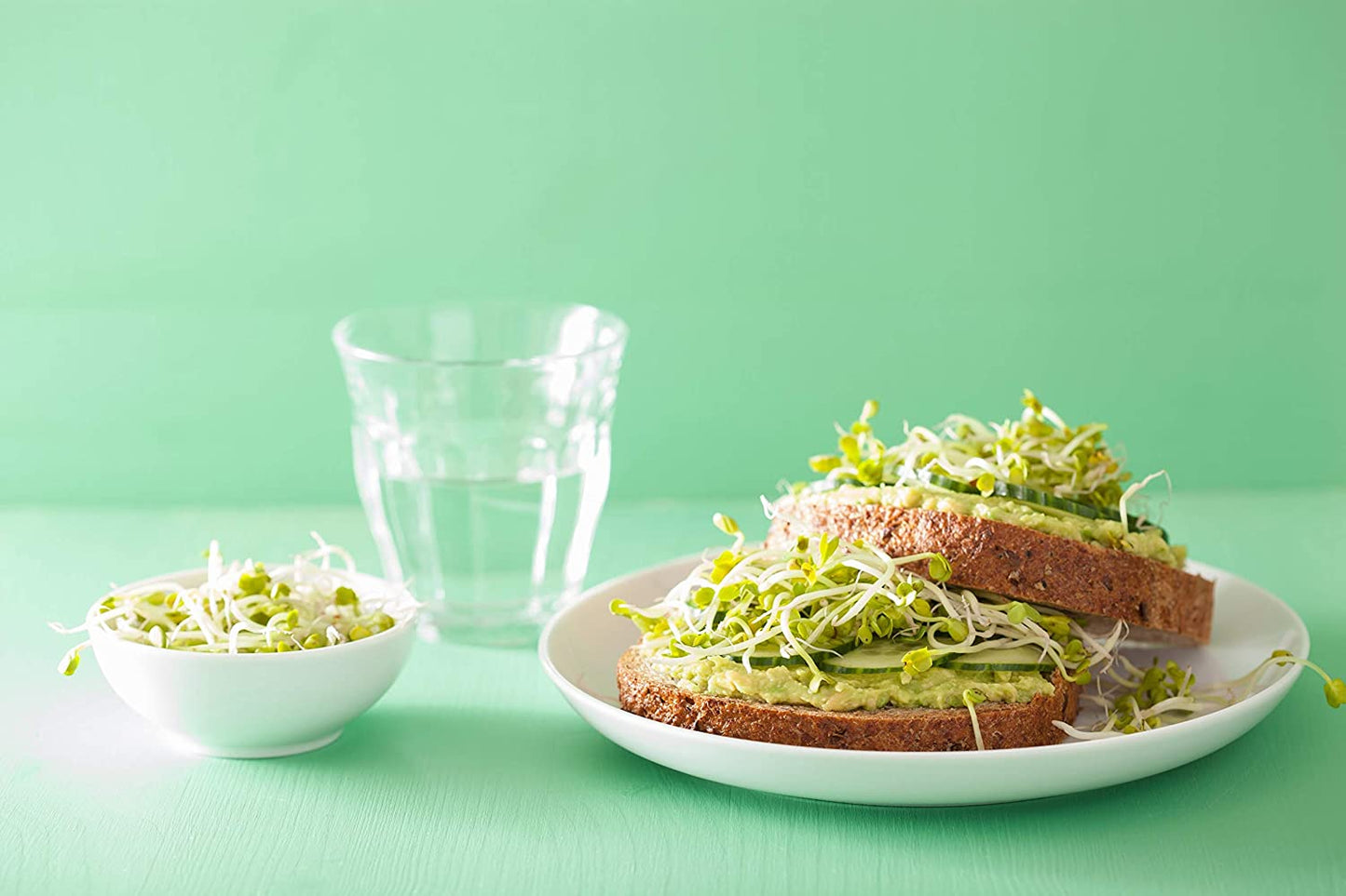 Radish Seeds for Sprouting - by Food To Live