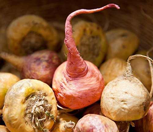 Organic Red Maca Powder - by Food To Live