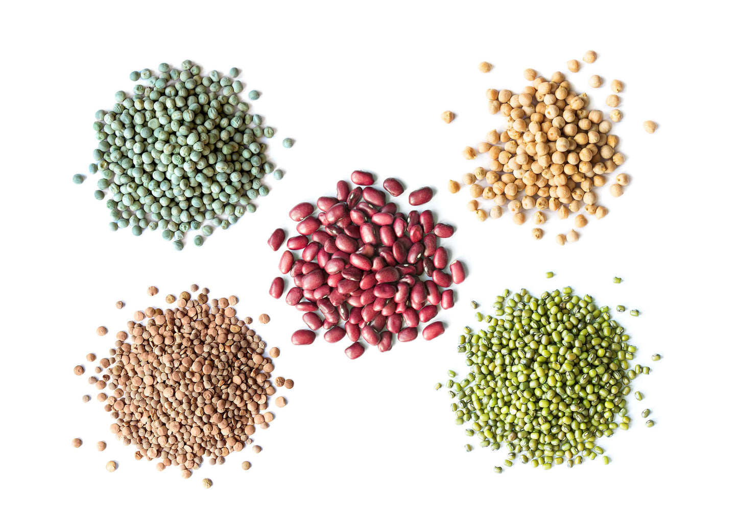 Organic Sprouting Beans, Peas, and Lentils in a Gift Box - by Food To Live