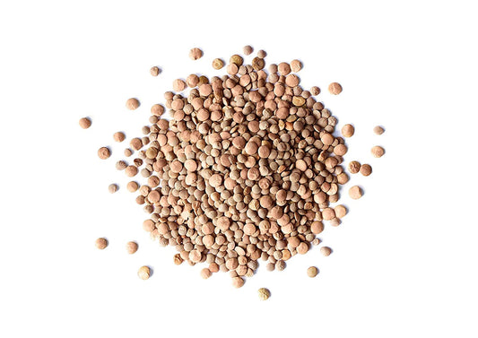 Organic Red Lentils Whole - Non-GMO, Kosher, Raw, Dried, Sproutable, Rich in Fiber, Bulk, Product of Canada - by Food to Live