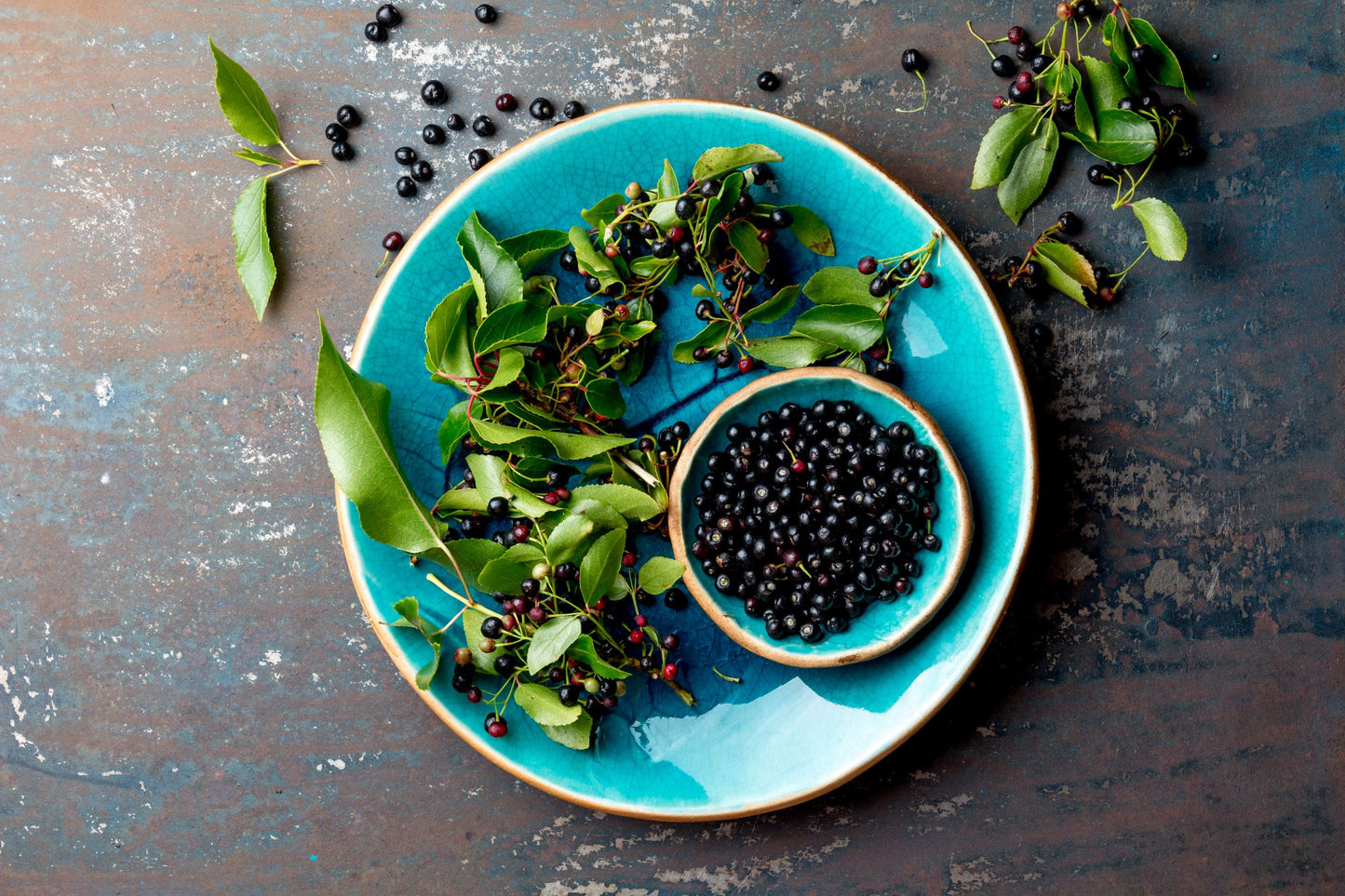 Organic Maqui Berry Powder - by Food To Live
