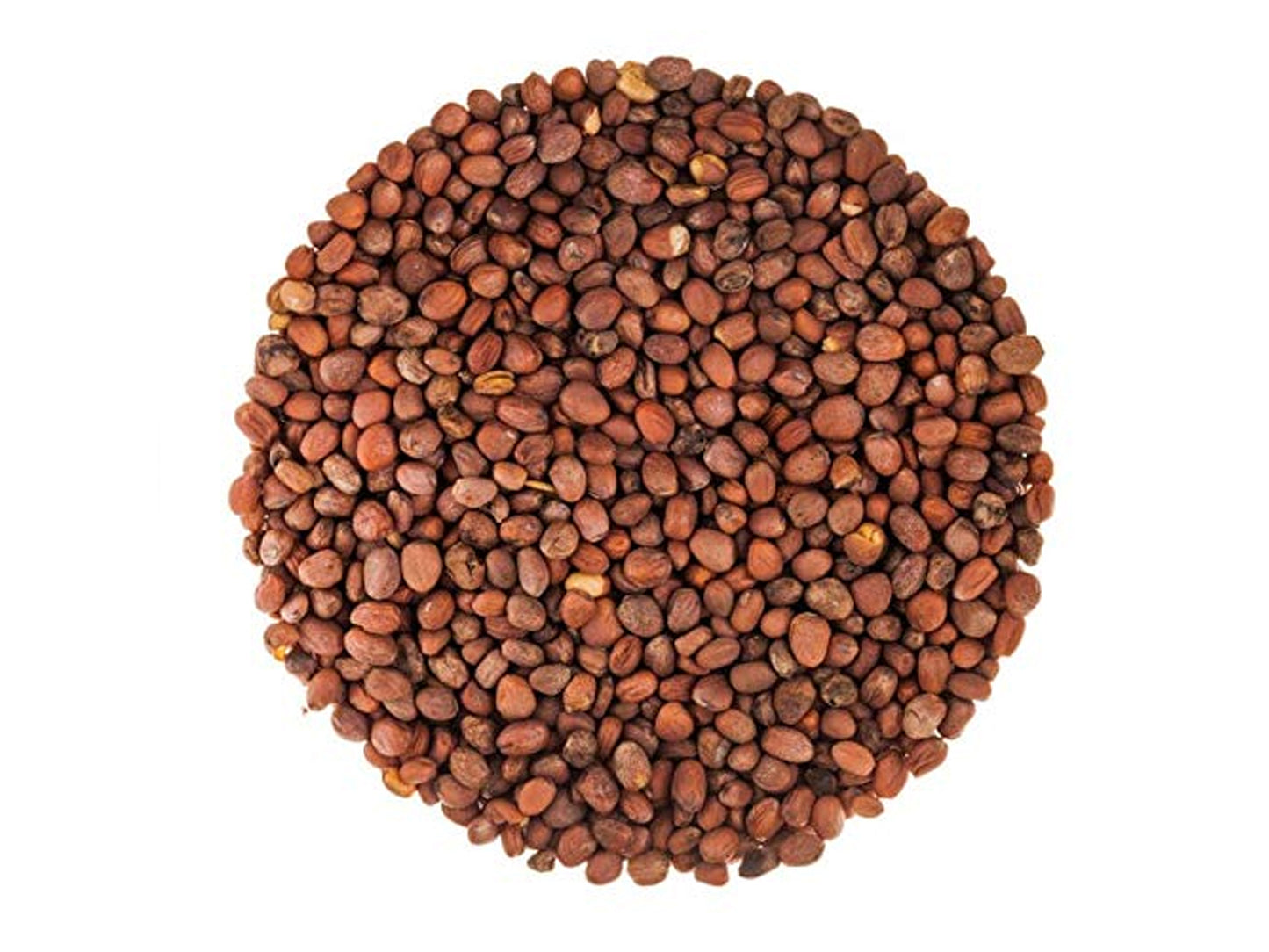 Radish Seeds for Sprouting - by Food To Live