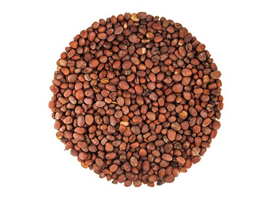 Radish Seeds for Sprouting - by Food To Live