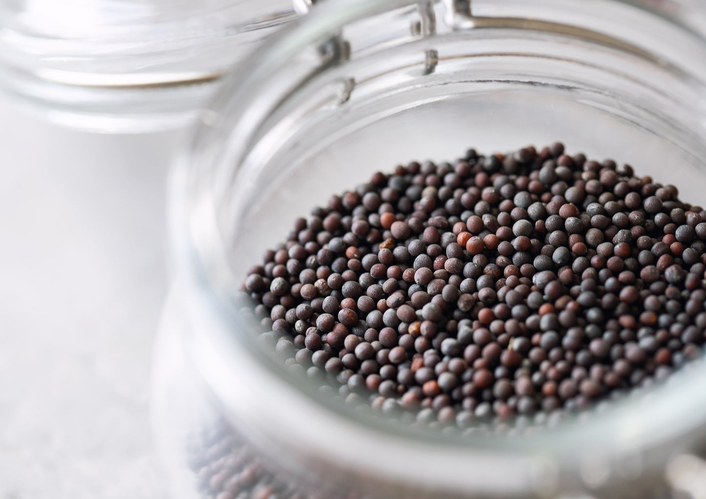 Organic Black Mustard Seeds - by Food To Live