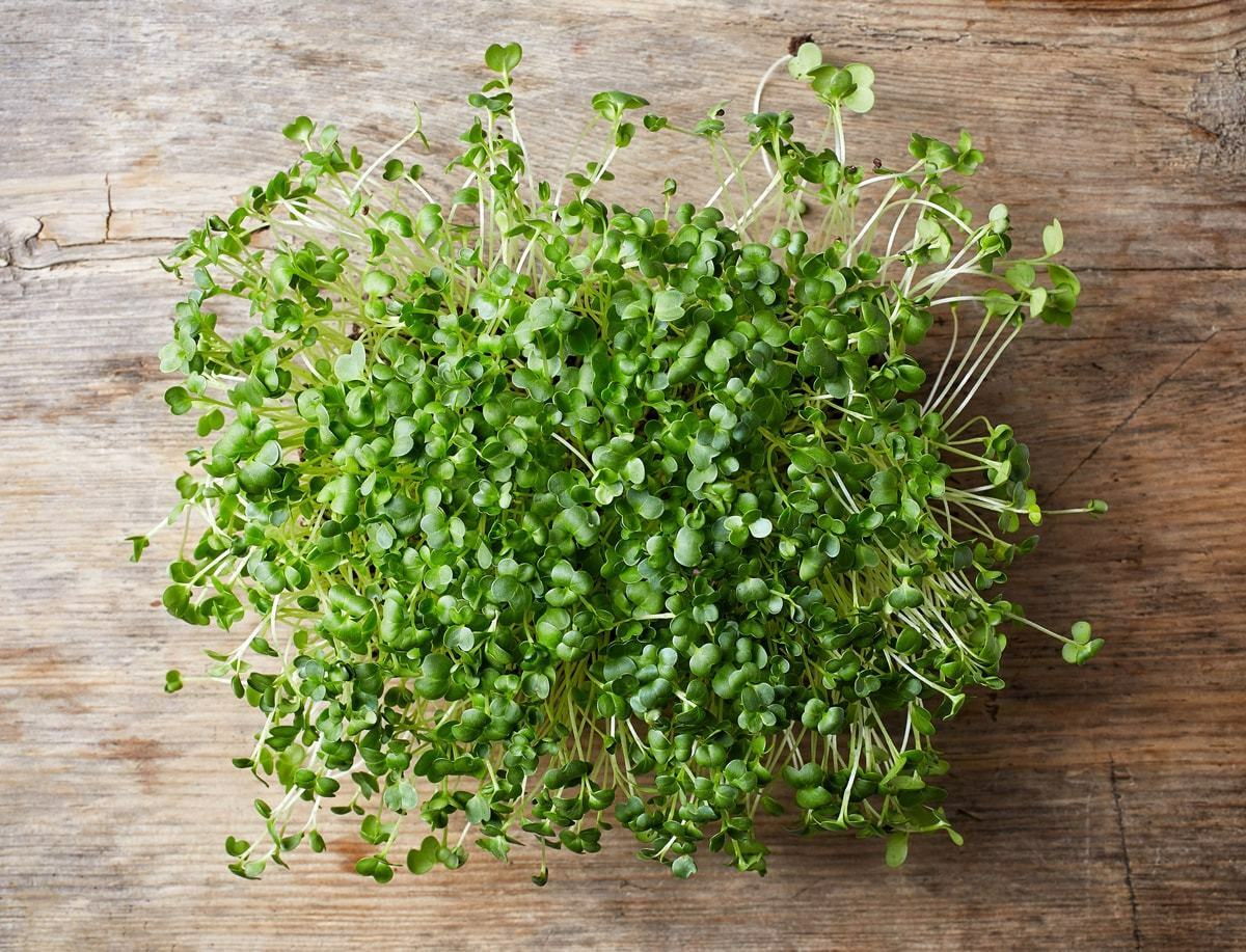 Organic Broccoli Sprouts Powder - by Food To Live