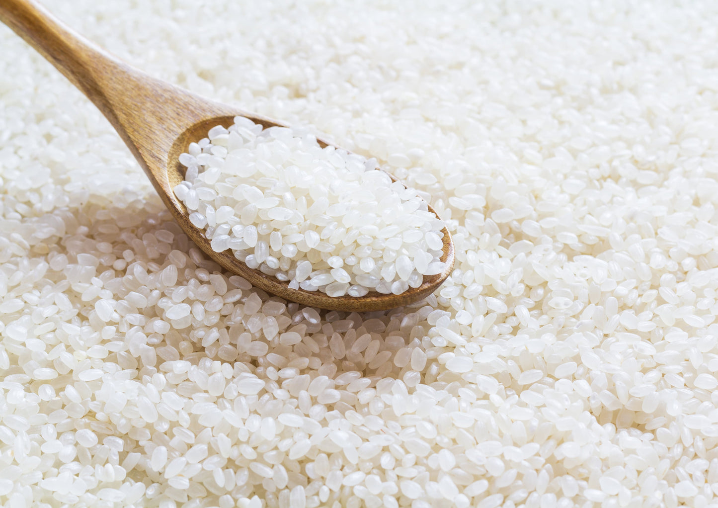 Organic Short Grain White Sushi Rice - by Food To Live