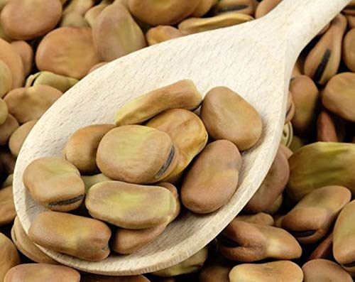 Organic Fava Beans - by Food To Live