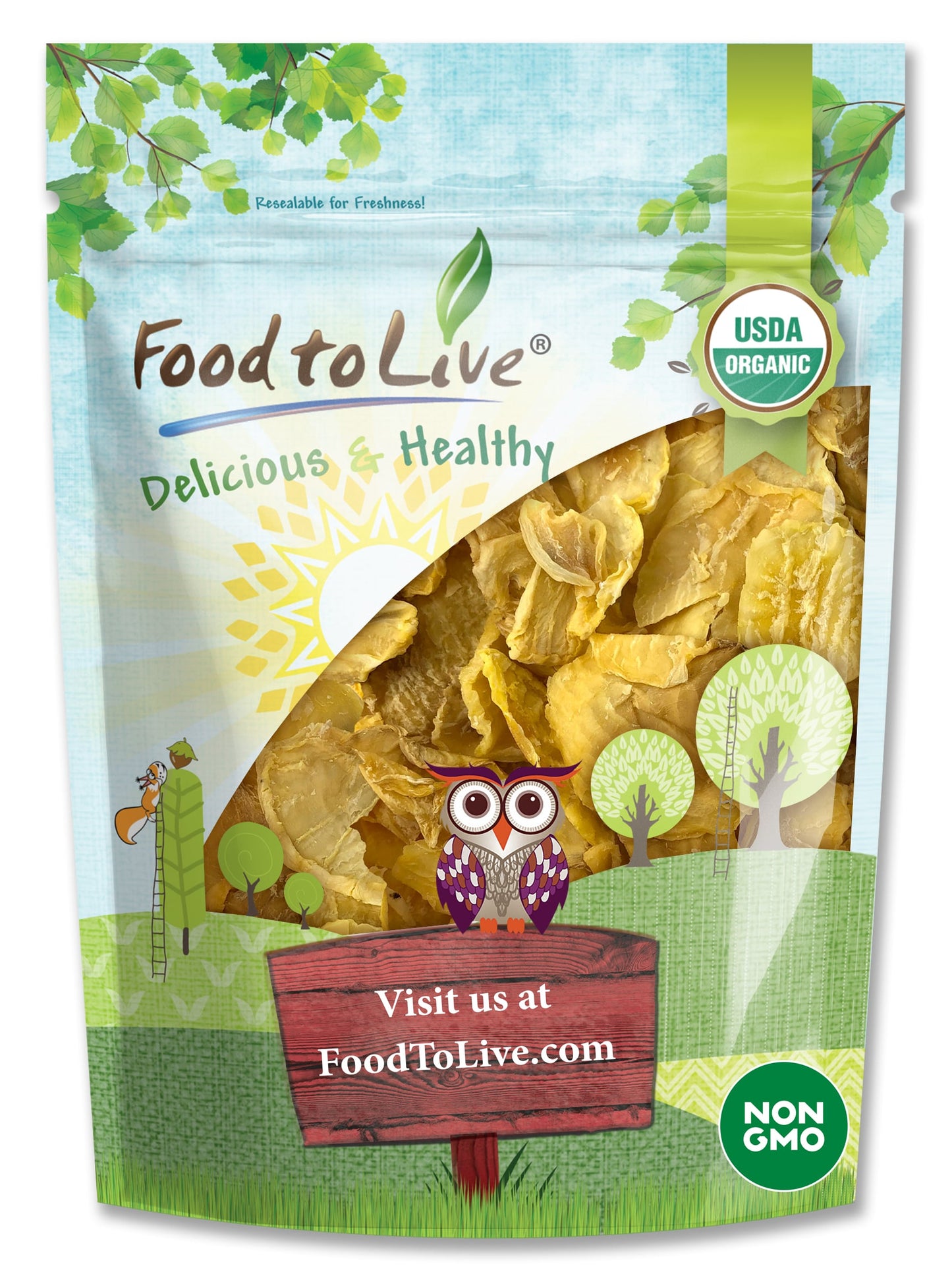 Organic Yacon Slices - by Food To Live
