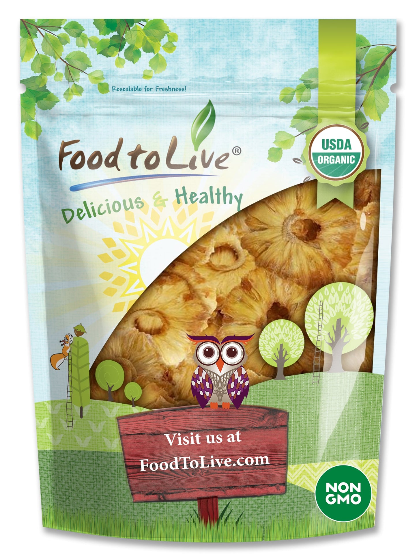 Organic Dried Pineapple Rings - by Food To Live