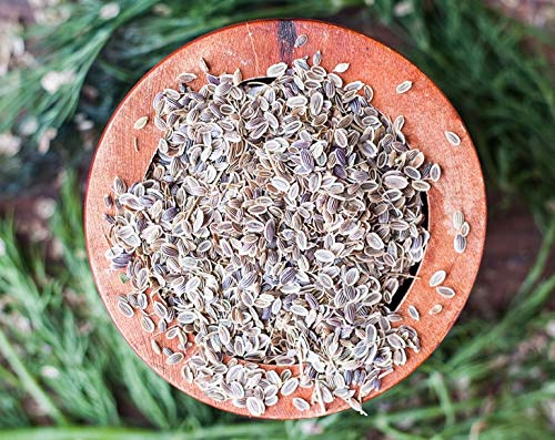 Dill Seeds Whole - by Food To Live