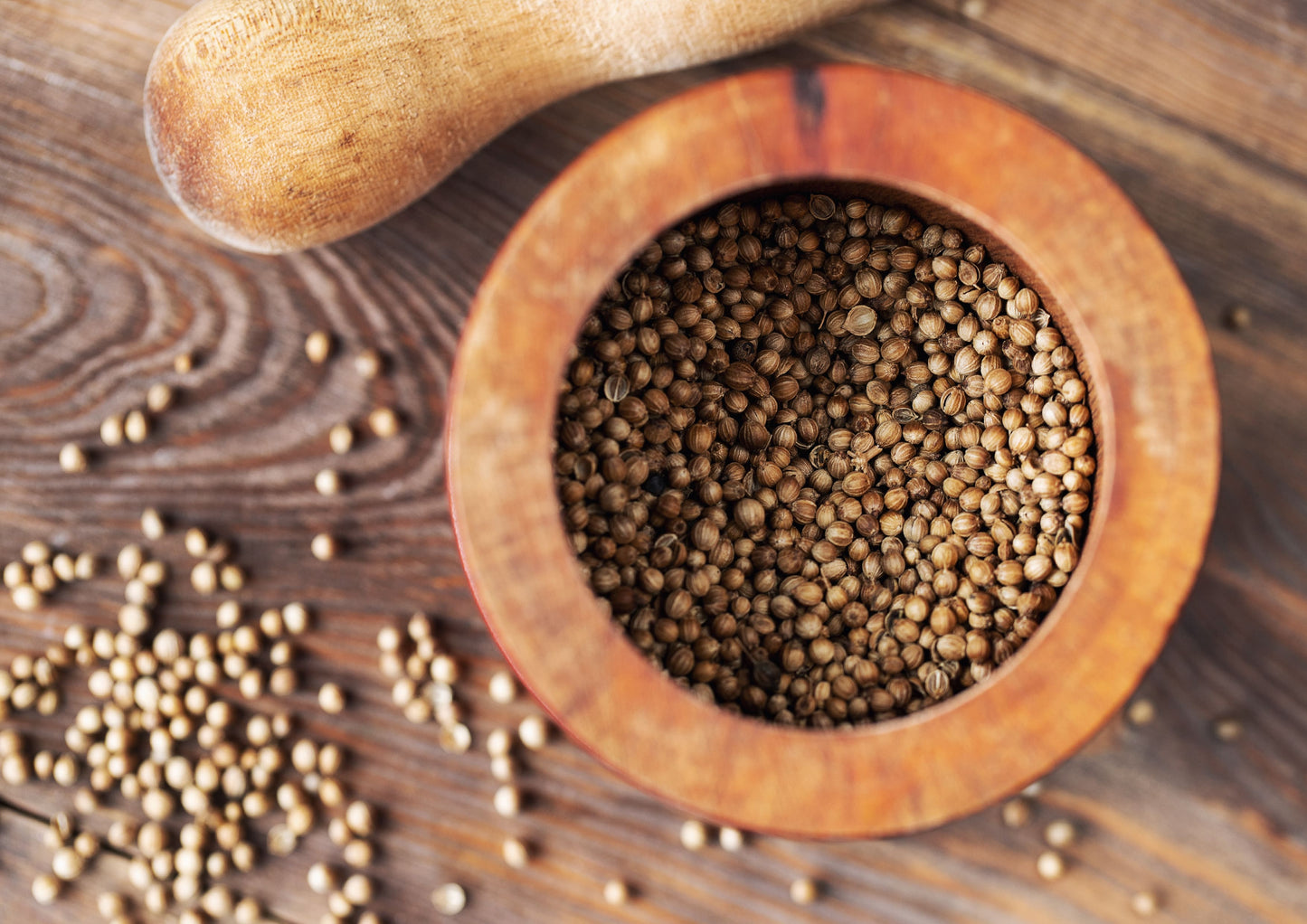 Organic Coriander Seeds - by Food To Live