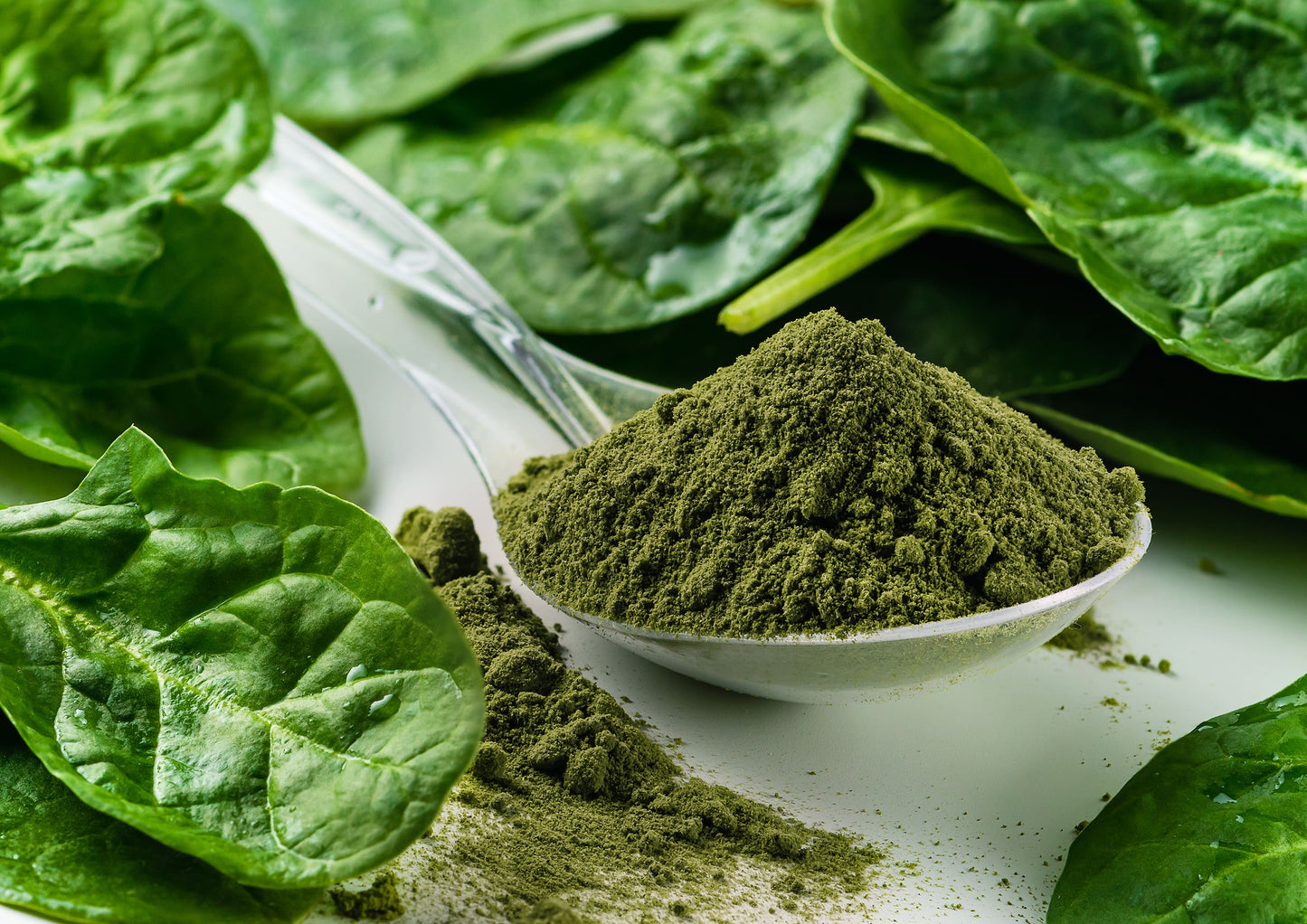 Organic Spinach Powder - by Food To Live