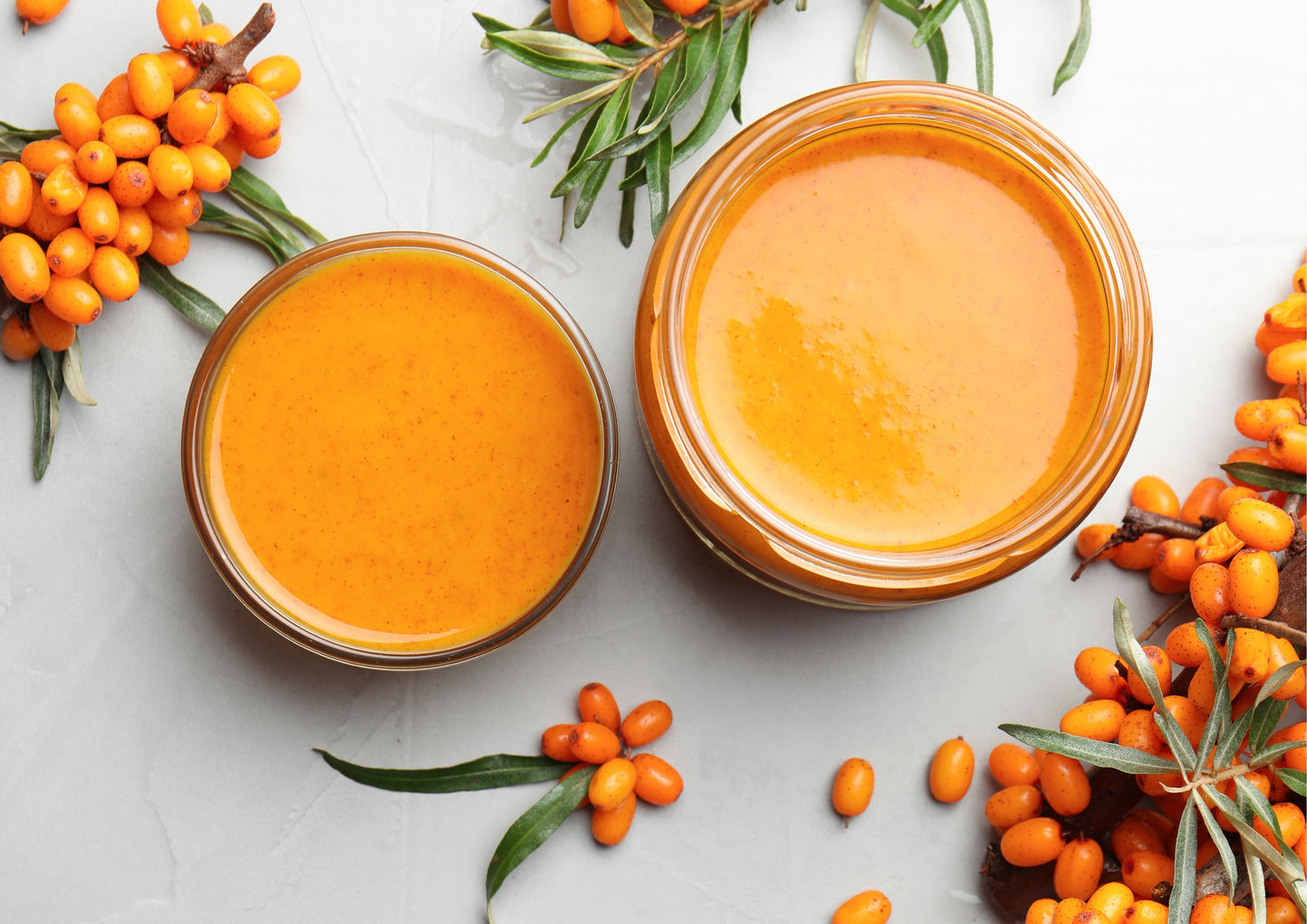 Sea Juice Buckthorn Powder - by Food To Live
