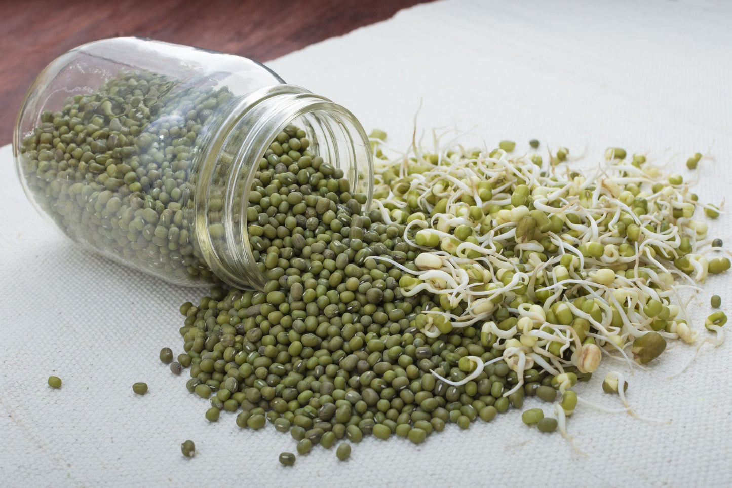 Organic Mung Beans - Sprouting, Non-GMO, Kosher, Sirtfood, Bulk - by Food to Live