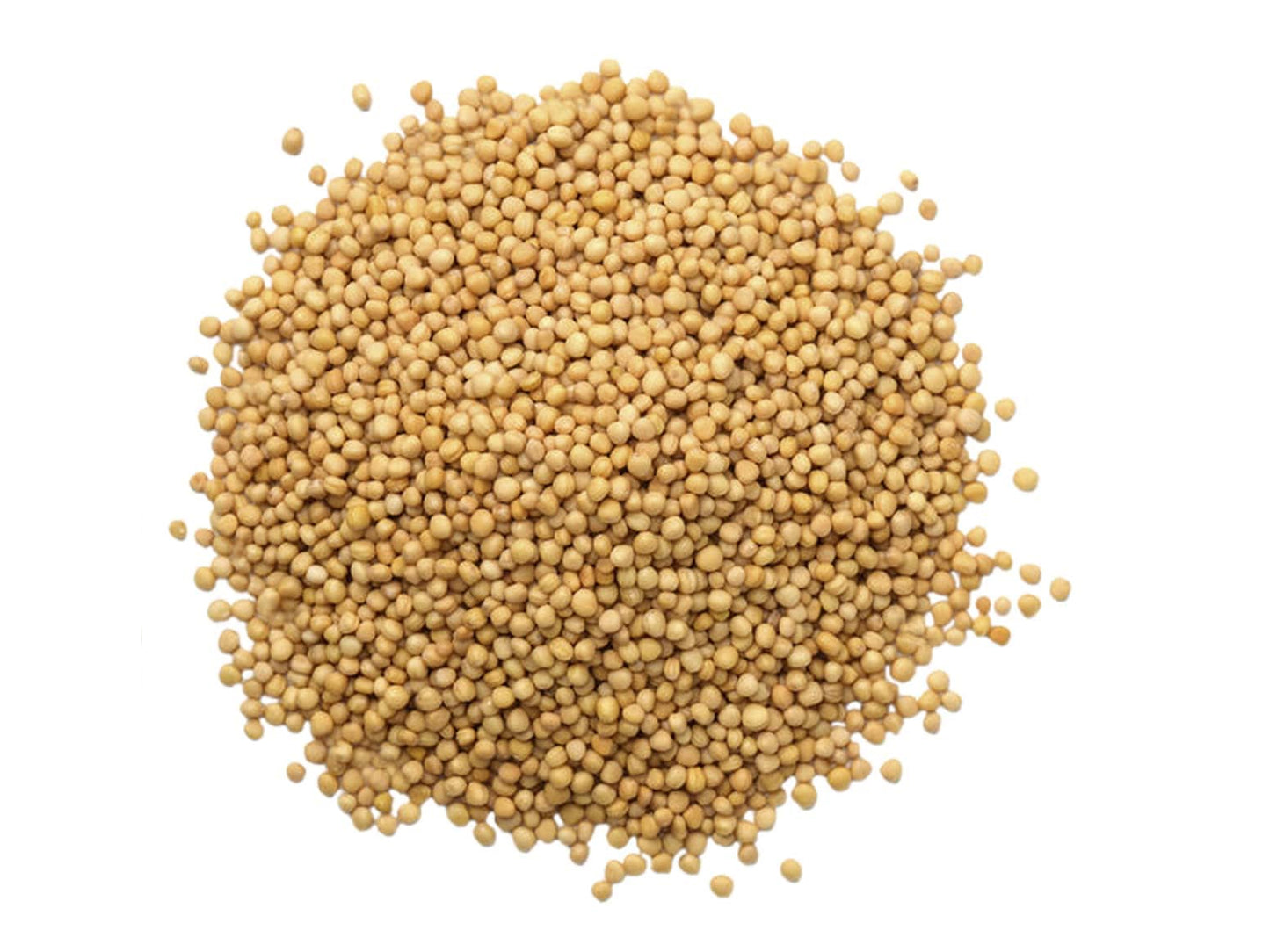 Yellow Mustard Seeds - by Food To Live
