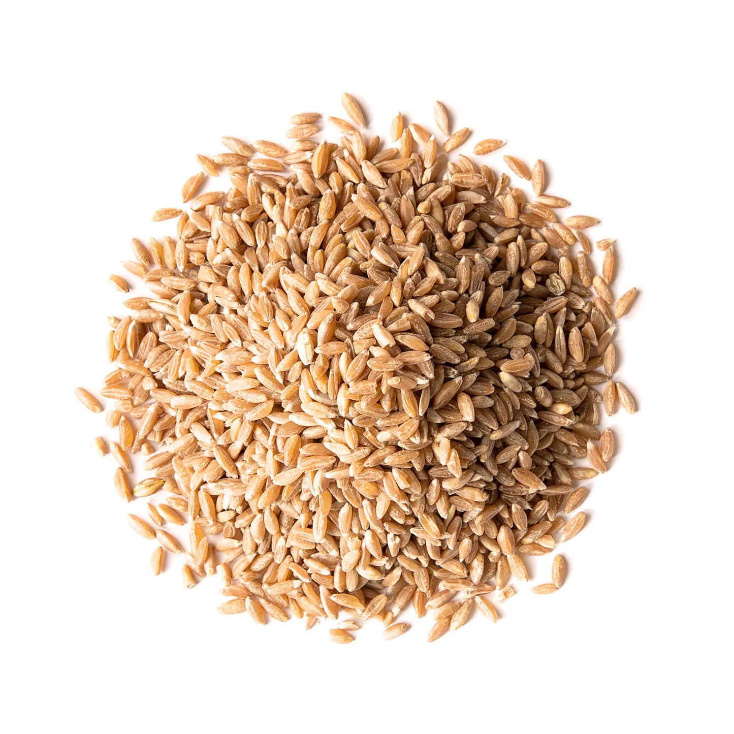 Spelt Berries - by Food To Live