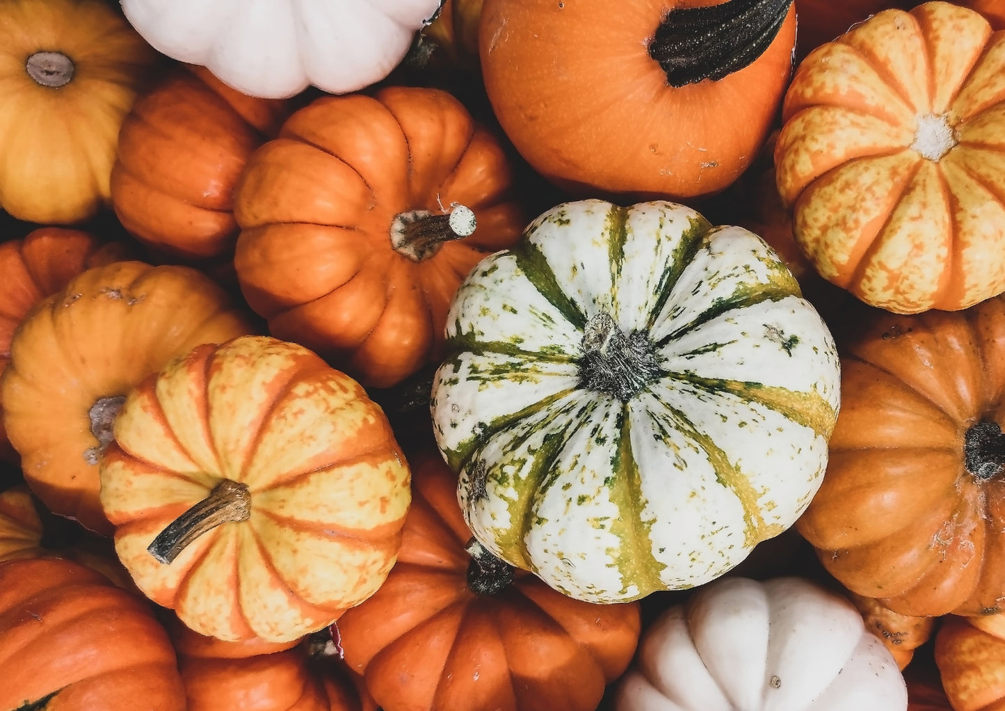 Pepitas / Pumpkin Seeds - by Food To Live