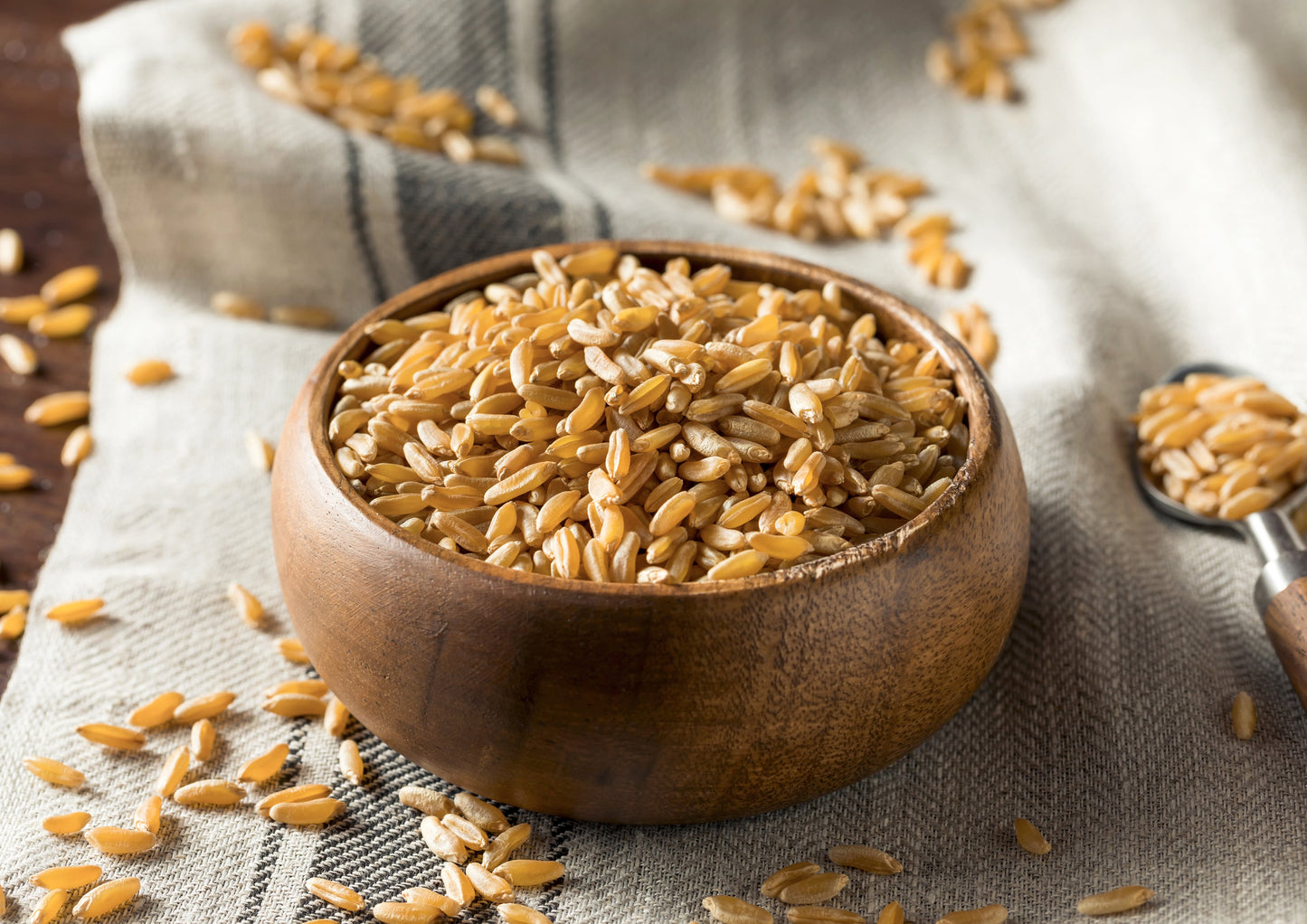 Organic KAMUT Khorasan Wheat Berries - by Food To Live