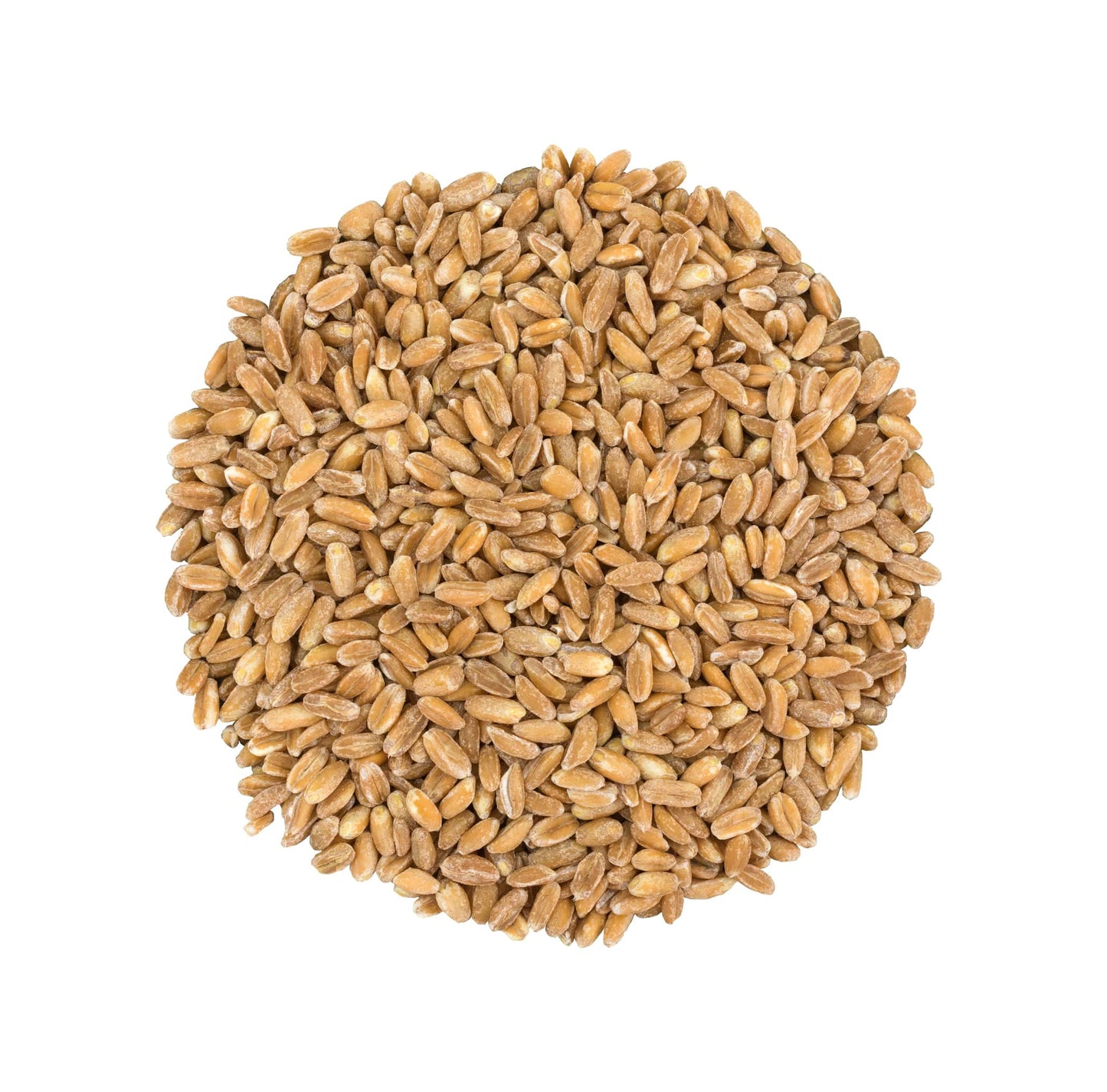 Pearled Farro Grain - by Food To Live