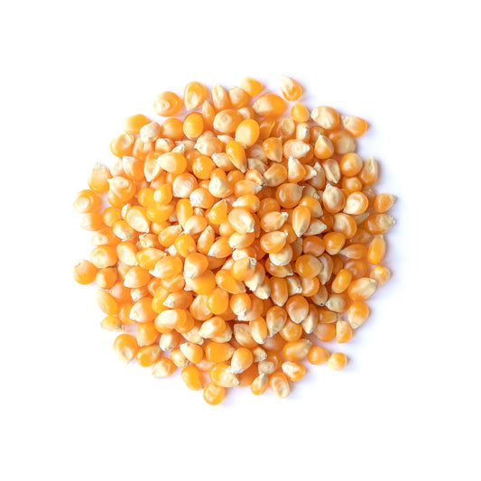 Organic Yellow Popcorn - by Food To Live