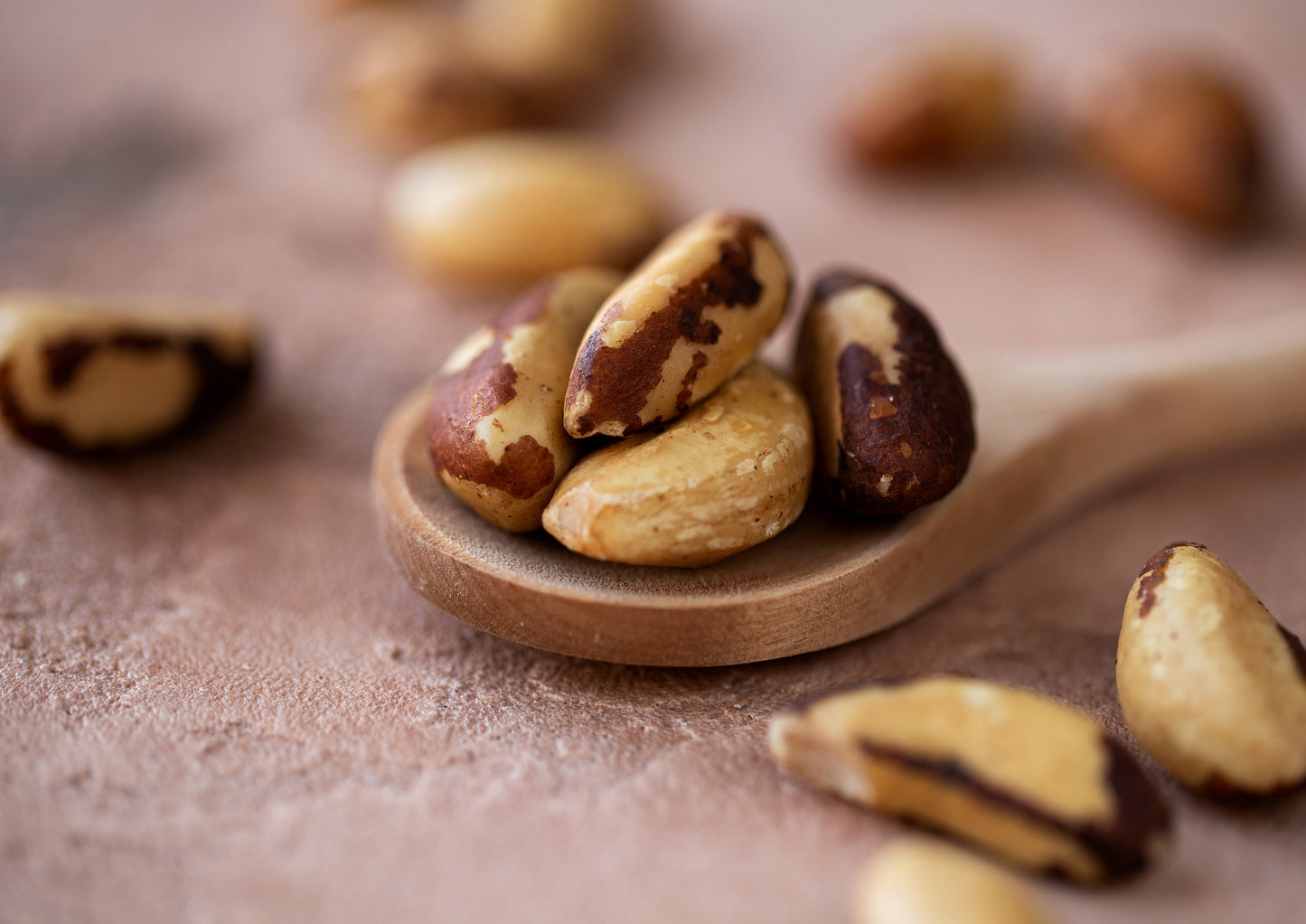 Organic Dry Roasted Brazil Nuts - by Food To Live
