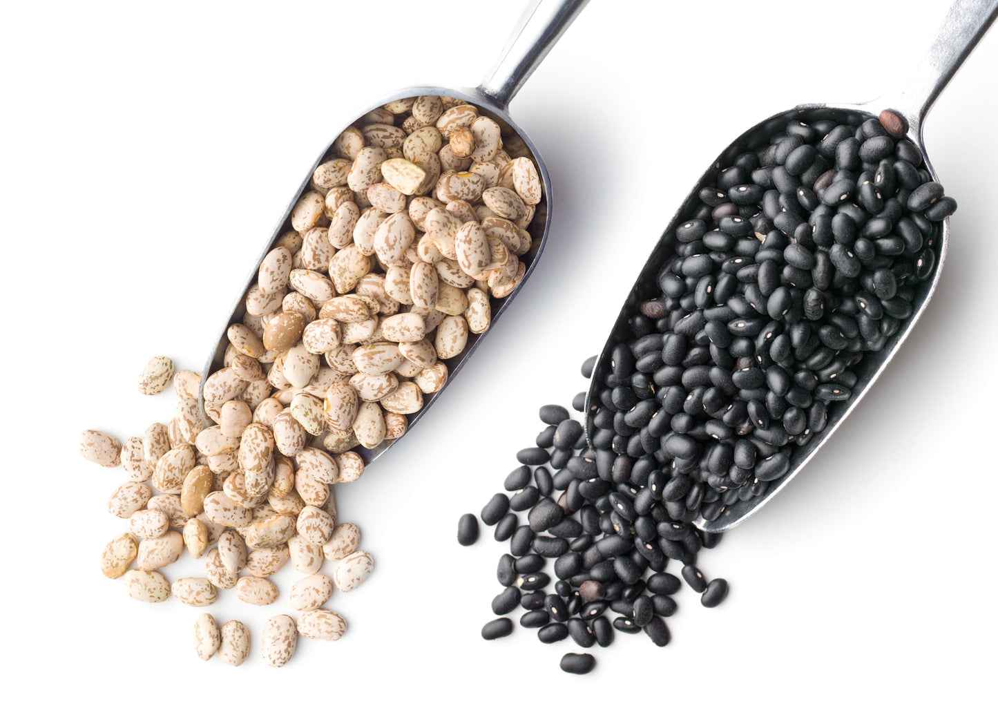 Premium Dry Beans Bundle, 2 Pack - Black Beans (5 LB), Pinto Beans (5 LB) - by Food To Live